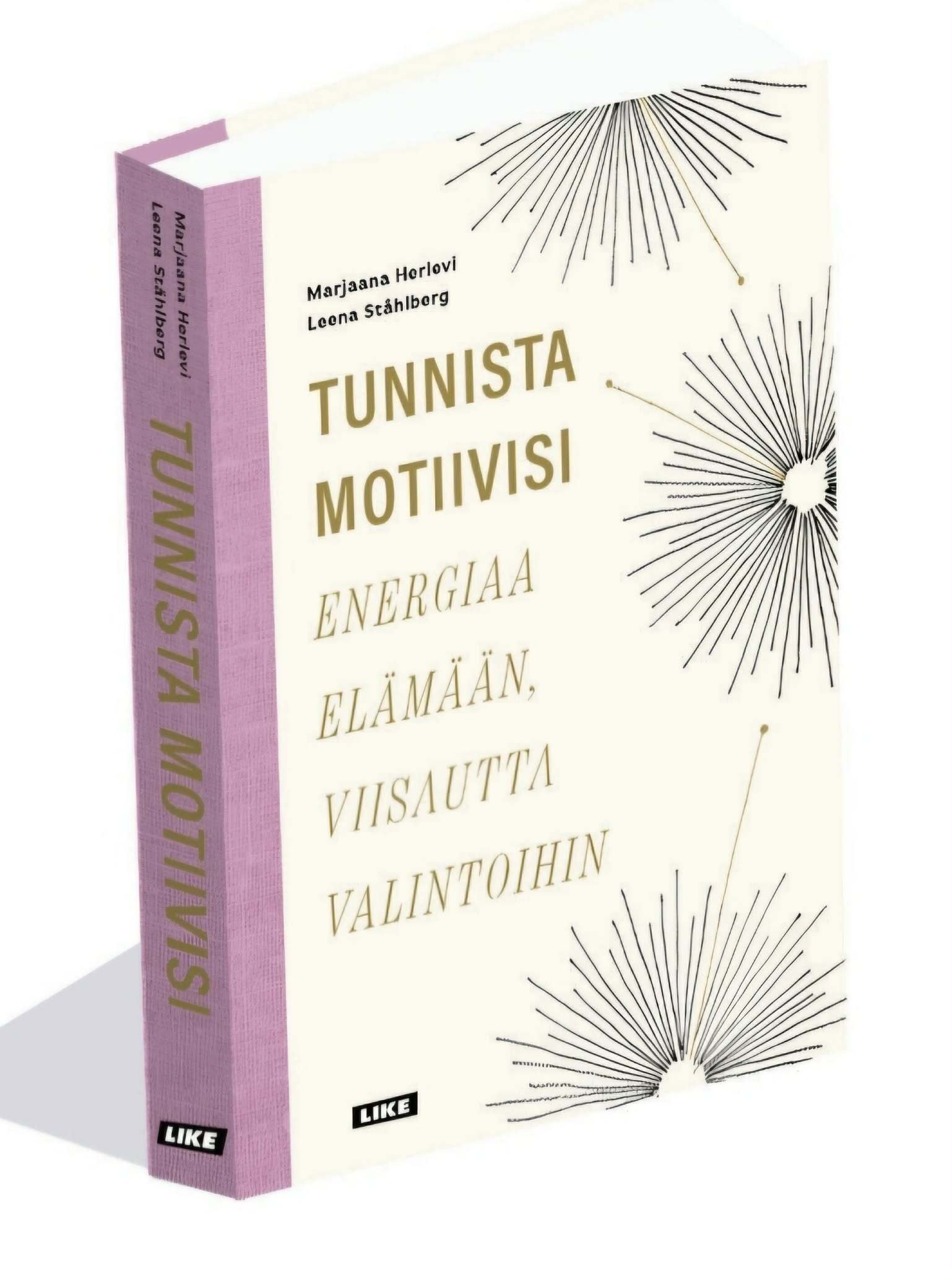 Tunnista motiivisi. Energiaa elämään, viisautta valintoihin.